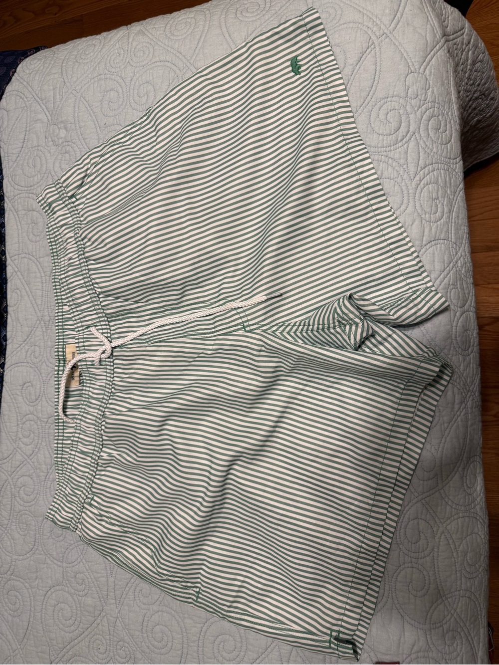 Men's Green Stripe Swim Trunks